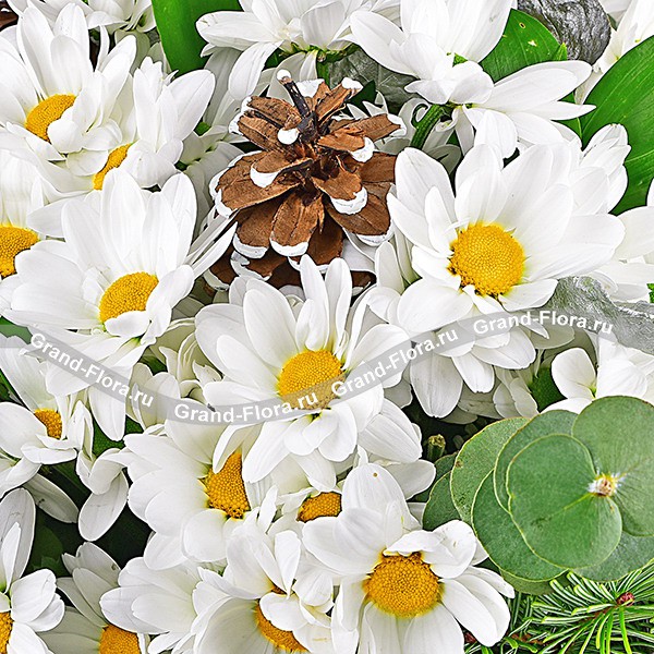 Снежинки - букет из белых хризантем