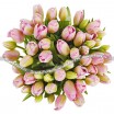 51 нежно-розовый тюльпан 2